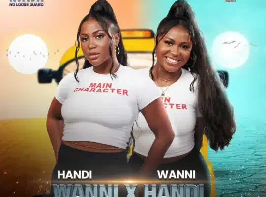 BBNaija S9: Wanni accuses Ben of touching Handi's nipple