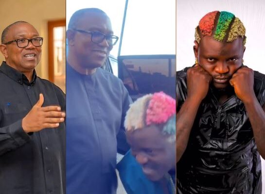 He Didn’t Give Us Anything - Portable Laments After Meeting Peter Obi