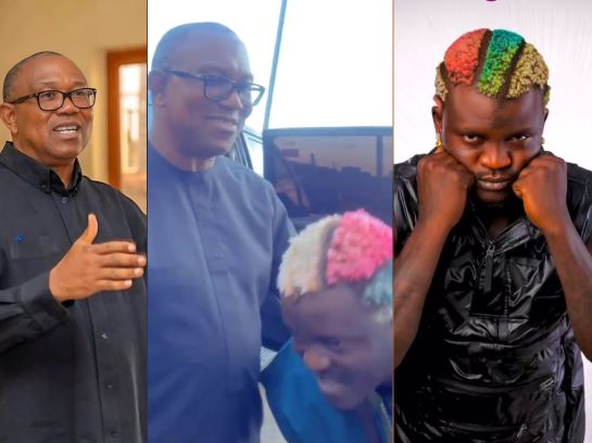 He Didn’t Give Us Anything - Portable Laments After Meeting Peter Obi