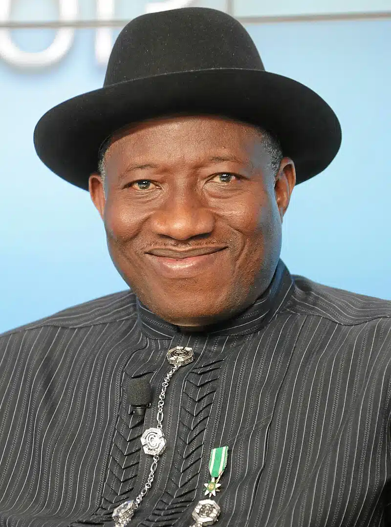 How I felt after losing the 2015 Presidential election — Jonathan