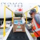 Air Canada Cargo Transports White-Nosed Coati to U.S. Zoo