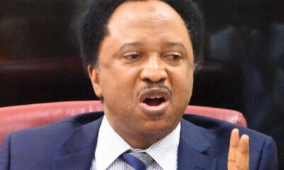 Lakurawa: Niger President Tchiani’s claim against Tinubu baseless – Shehu Sani