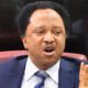 Lakurawa: Niger President Tchiani’s claim against Tinubu baseless – Shehu Sani