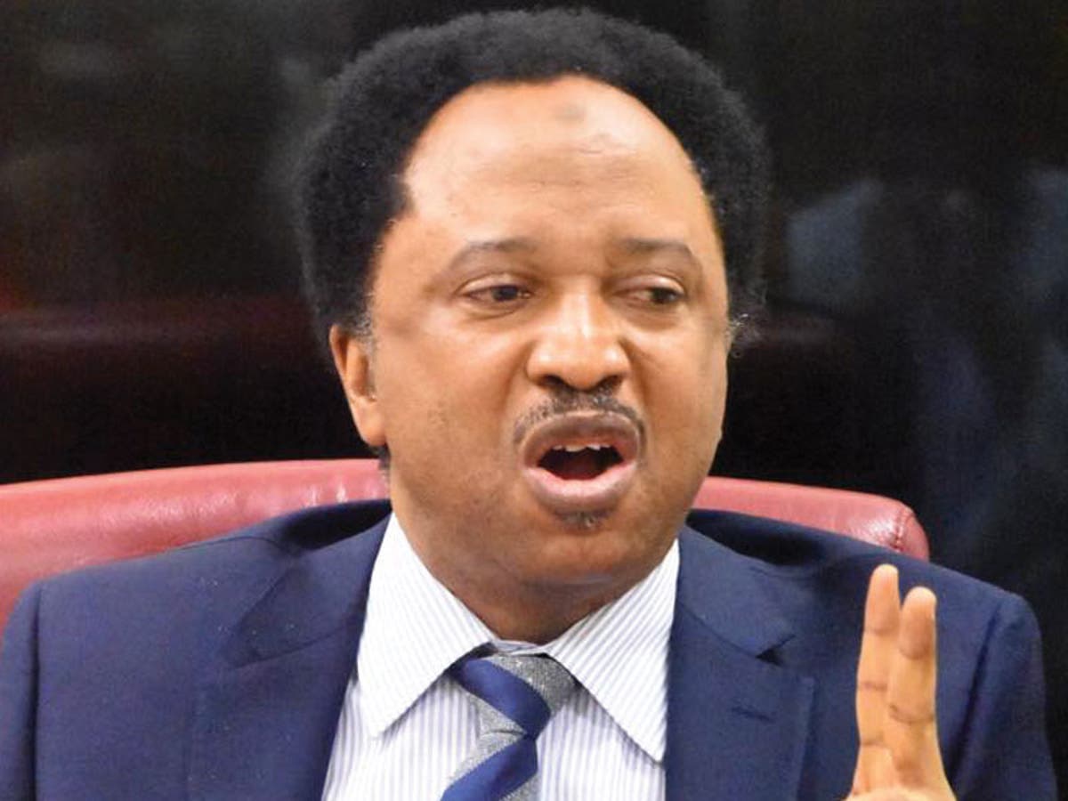 Lakurawa: Niger President Tchiani’s claim against Tinubu baseless – Shehu Sani