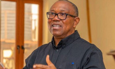 Peter Obi’s fall from grace is baffling – Kogbara