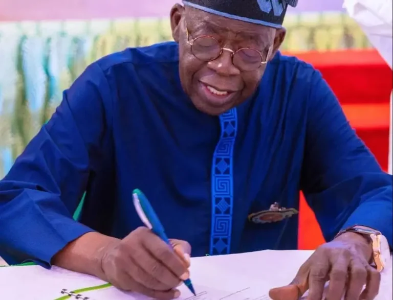 Tinubu’s tax reform bill to ease taxation, protect the poor – FG