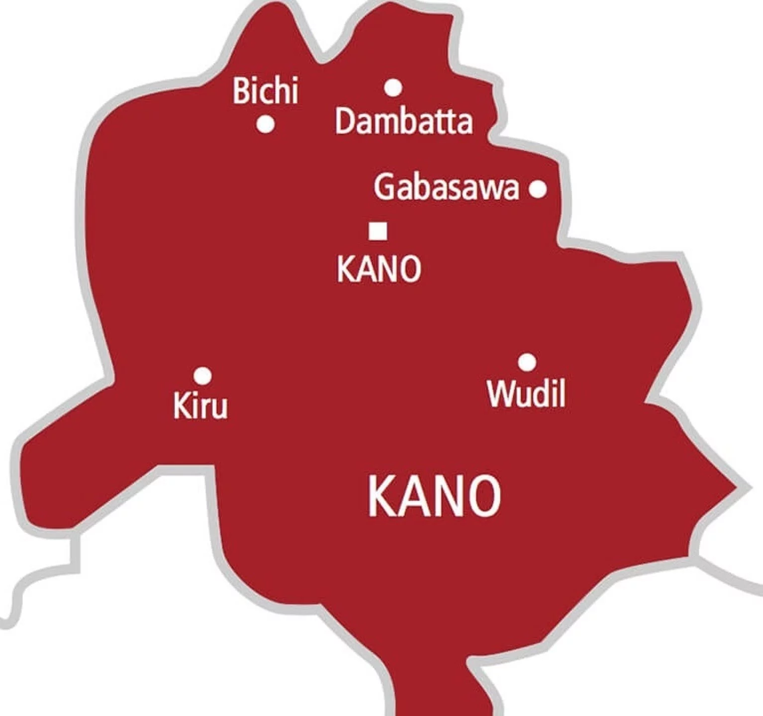 Kano: Nassarawa LG chairman appoints 60 aides